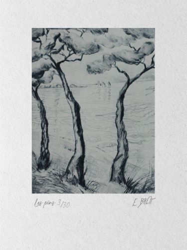 Les pins - 12x15cm (pointe sèche)