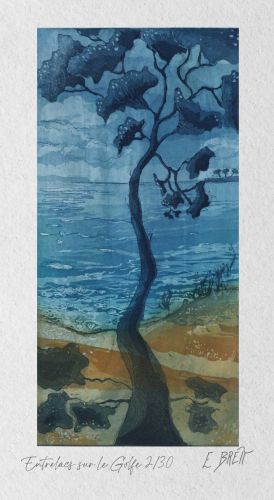 Entrelacs sur le Golfe - 15x30cm (eau forte et aquatinte)